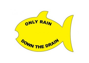 Yellow Fish Only Rain