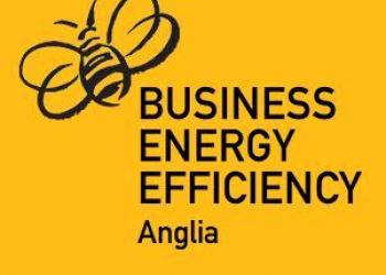 BEE Anglia Logo