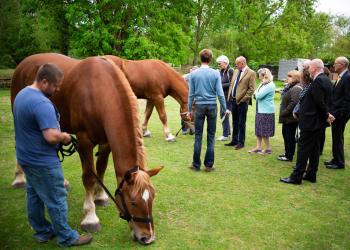 Waveney Valley Launch