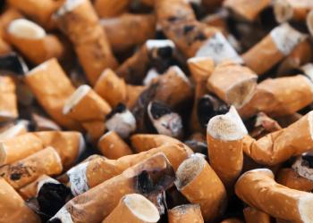 cigarette butts