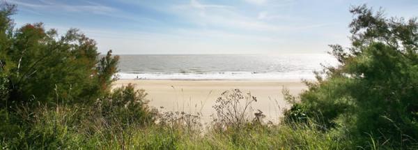 Lowestoft beach 750x269