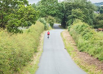 Quiet Lane