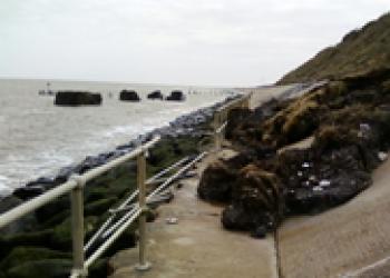 CoMT Corton Prom