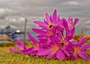Philip J Hill photography competition 2017