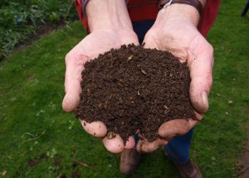compost