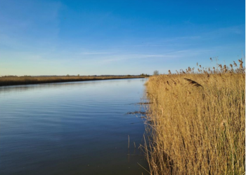 oulton dyke