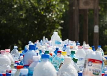 plastic bottles