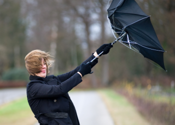 windy weather