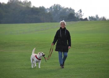 woman walking dog