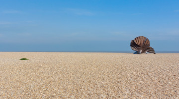 Aldeburgh beach with shell