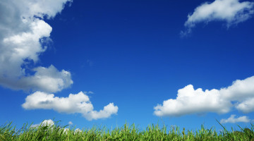 blue sky with fluffy white clouds and a field of grass