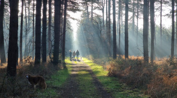 Winning photo from Through the Lens photo competition 2026