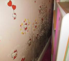 Condensation example