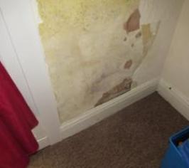 Rising damp example