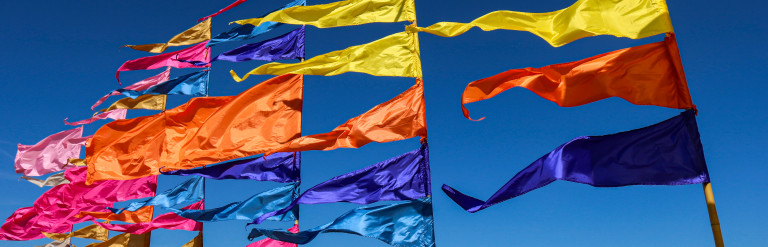 Colourful flags blowing in the wind by the sea