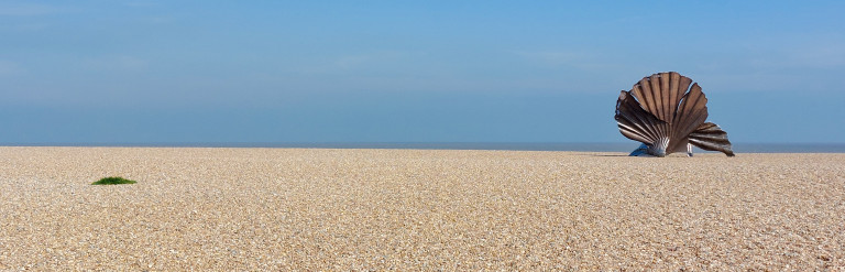 Aldeburgh beach with shell