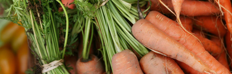 Image of orange carrots