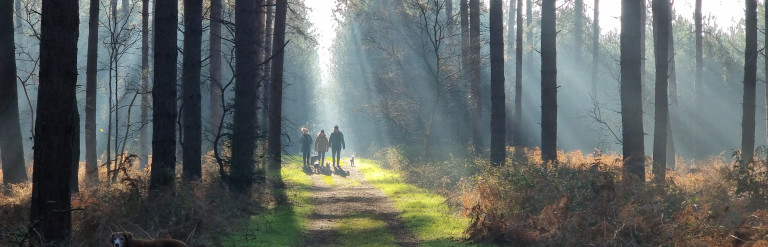 Winning photo from Through the Lens photo competition 2026